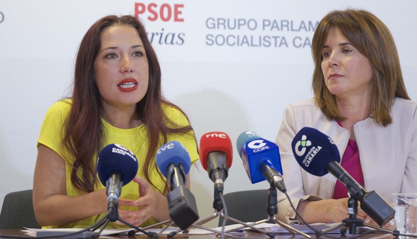 La presidenta del Grupo Parlamento Socialista, Patricia Hernández / PSOE